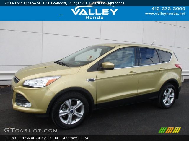 2014 Ford Escape SE 1.6L EcoBoost in Ginger Ale