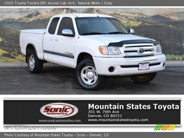 2003 Toyota Tundra SR5 Access Cab 4x4 in Natural White