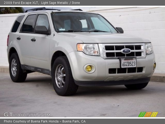 2009 Ford Escape XLT in Light Sage Metallic
