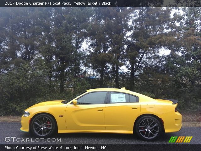 2017 Dodge Charger R/T Scat Pack in Yellow Jacket