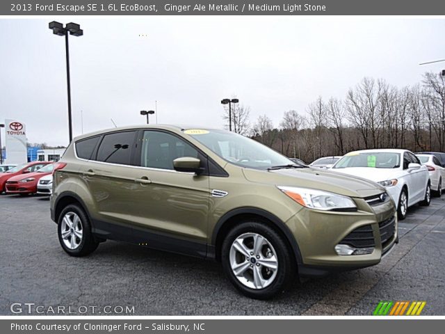2013 Ford Escape SE 1.6L EcoBoost in Ginger Ale Metallic