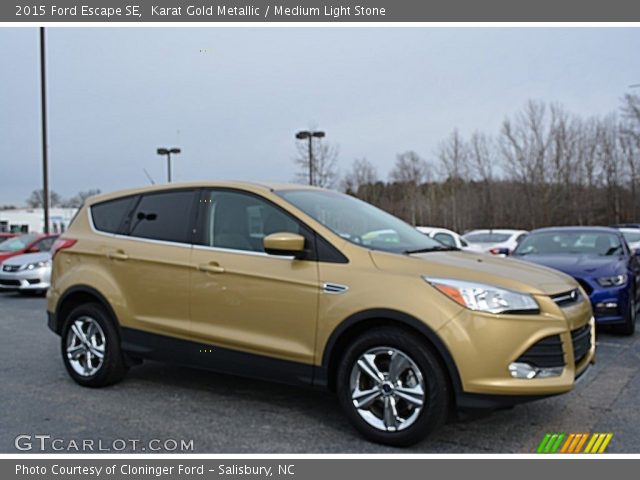 2015 Ford Escape SE in Karat Gold Metallic