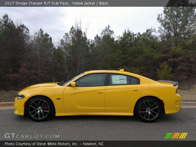 2017 Dodge Charger R/T Scat Pack in Yellow Jacket