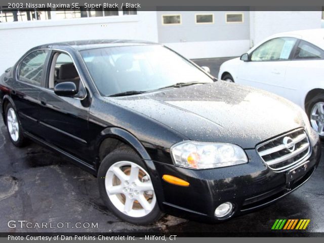 2003 Nissan Maxima SE in Super Black