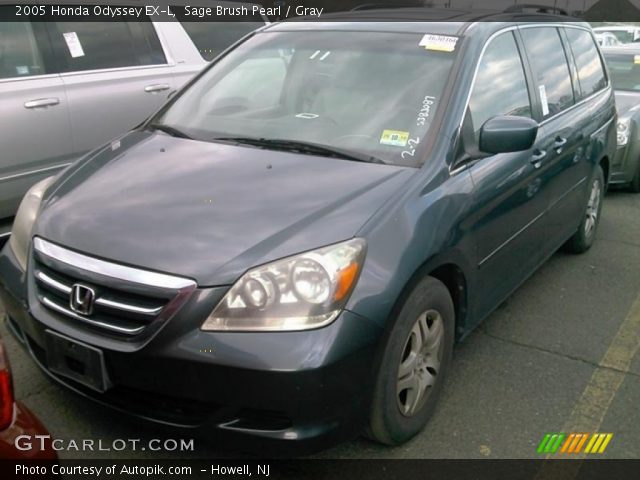 2005 Honda Odyssey EX-L in Sage Brush Pearl