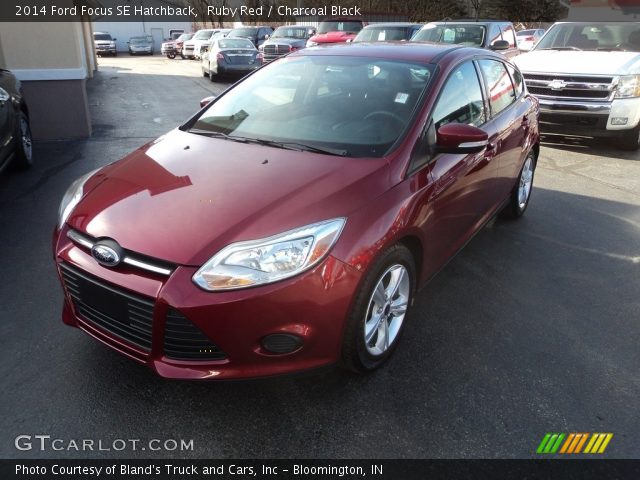 2014 Ford Focus SE Hatchback in Ruby Red