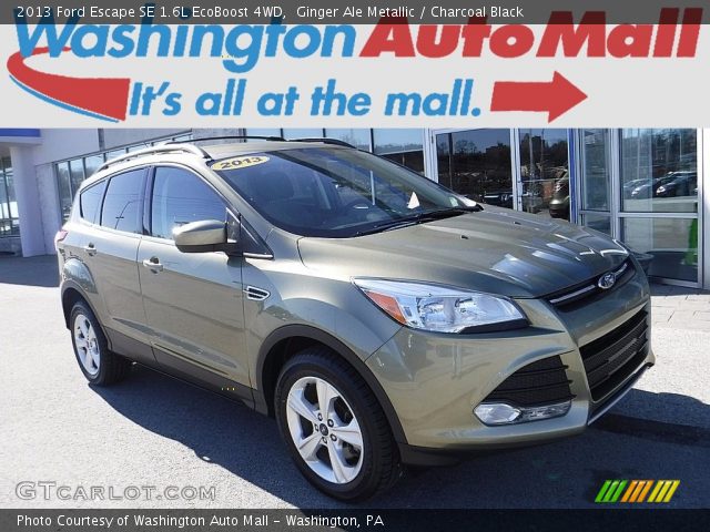 2013 Ford Escape SE 1.6L EcoBoost 4WD in Ginger Ale Metallic
