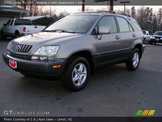 2003 Lexus RX 300 in Mineral Green Opalescent