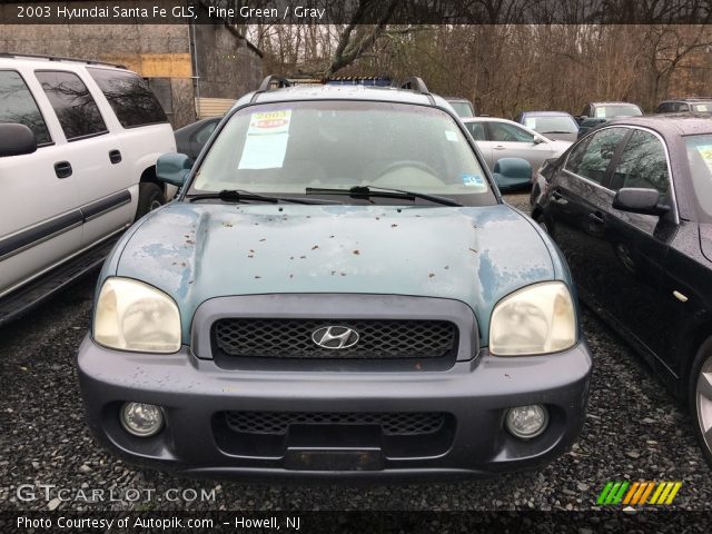 2003 Hyundai Santa Fe GLS in Pine Green