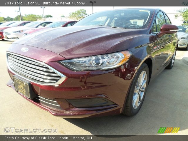 2017 Ford Fusion SE in Burgundy Velvet