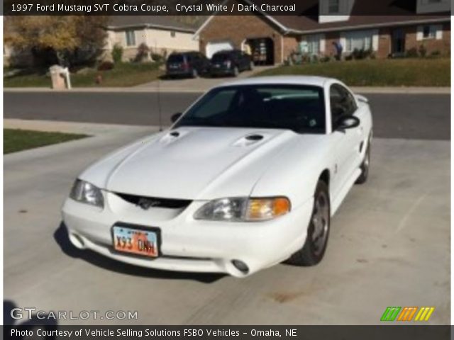 1997 Ford Mustang SVT Cobra Coupe in Crystal White
