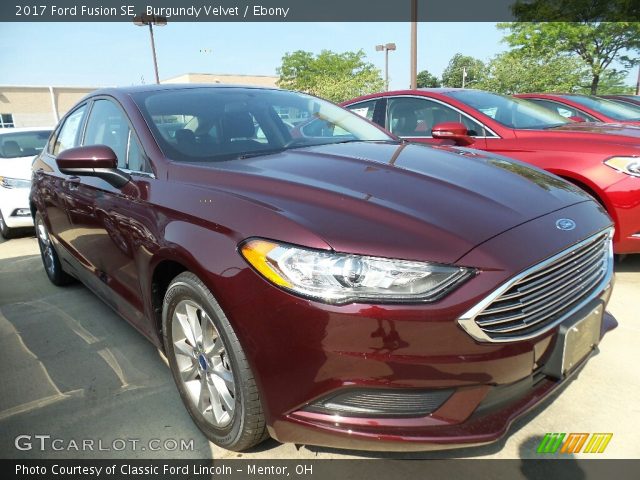 2017 Ford Fusion SE in Burgundy Velvet