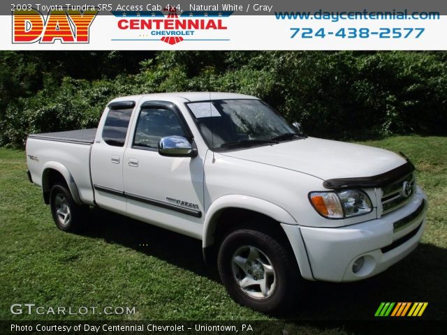 2003 Toyota Tundra SR5 Access Cab 4x4 in Natural White