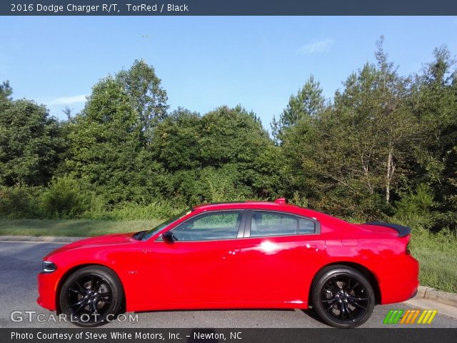 2016 Dodge Charger R/T in TorRed