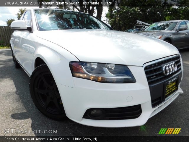 2009 Audi A4 2.0T Premium quattro Sedan in Ibis White