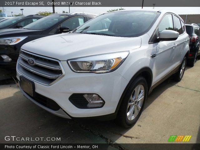 2017 Ford Escape SE in Oxford White