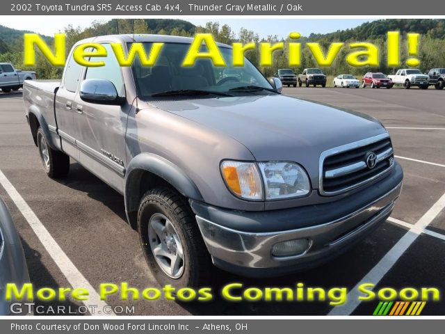 2002 Toyota Tundra SR5 Access Cab 4x4 in Thunder Gray Metallic