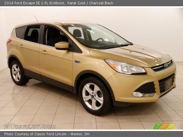2014 Ford Escape SE 1.6L EcoBoost in Karat Gold