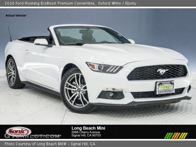 2016 Ford Mustang EcoBoost Premium Convertible in Oxford White
