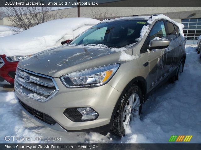 2018 Ford Escape SE in White Gold