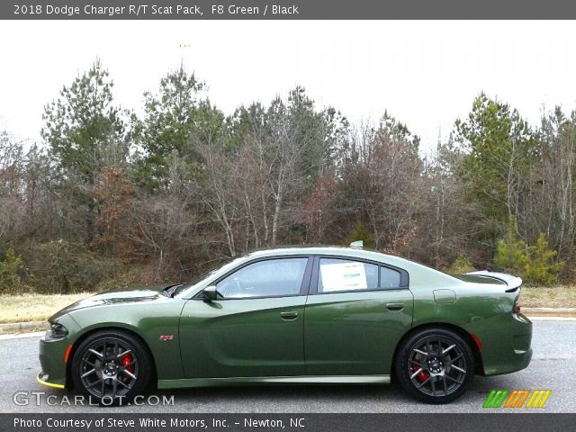 2018 Dodge Charger R/T Scat Pack in F8 Green