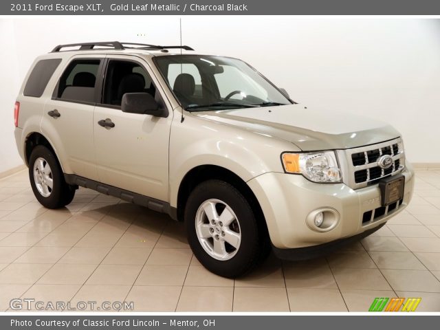 2011 Ford Escape XLT in Gold Leaf Metallic