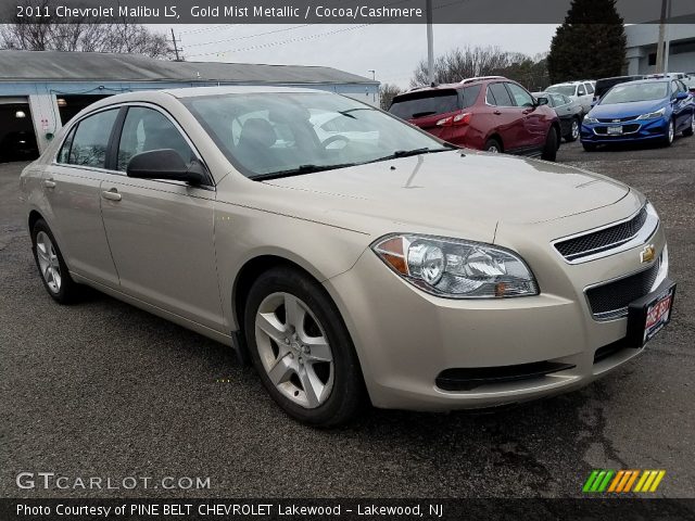 2011 Chevrolet Malibu LS in Gold Mist Metallic