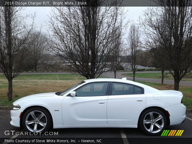 2016 Dodge Charger R/T in Bright White