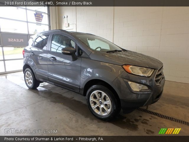 2018 Ford EcoSport SE 4WD in Smoke
