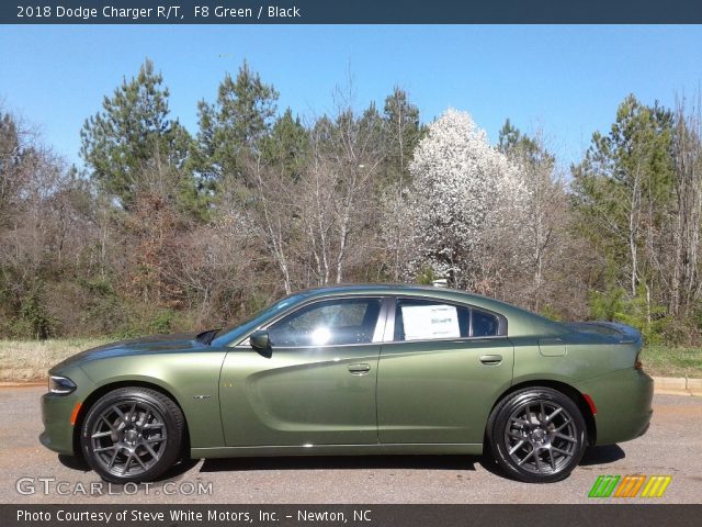 2018 Dodge Charger R/T in F8 Green