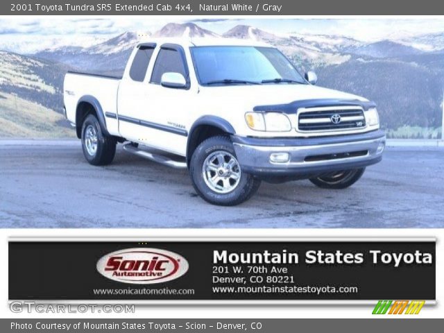 2001 Toyota Tundra SR5 Extended Cab 4x4 in Natural White