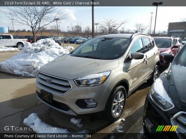 2018 Ford Escape SE 4WD in White Gold