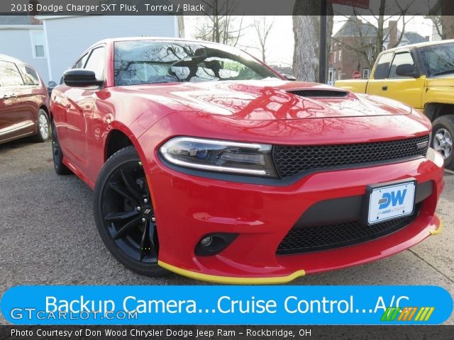 2018 Dodge Charger SXT Plus in Torred
