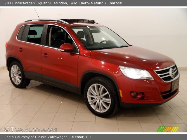 2011 Volkswagen Tiguan SE 4Motion in Wild Cherry Metallic