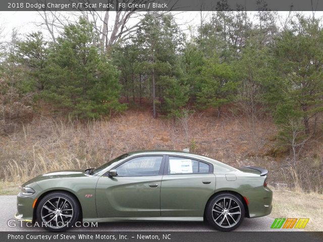 2018 Dodge Charger R/T Scat Pack in F8 Green