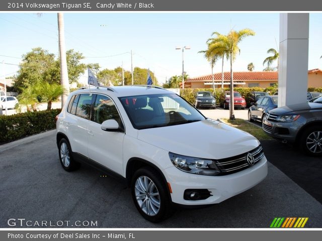 2014 Volkswagen Tiguan SE in Candy White