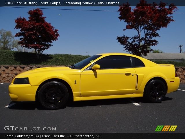 2004 Ford Mustang Cobra Coupe in Screaming Yellow