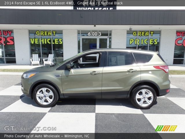 2014 Ford Escape SE 1.6L EcoBoost 4WD in Ginger Ale