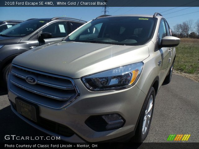 2018 Ford Escape SE 4WD in White Gold