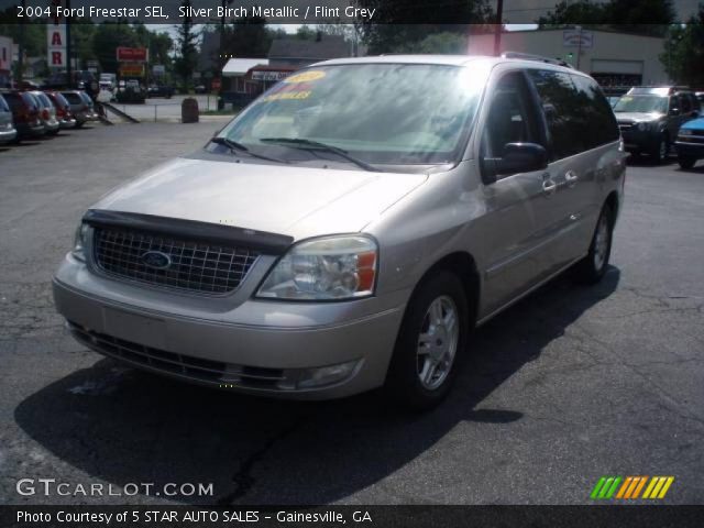 2004 Ford Freestar SEL in Silver Birch Metallic