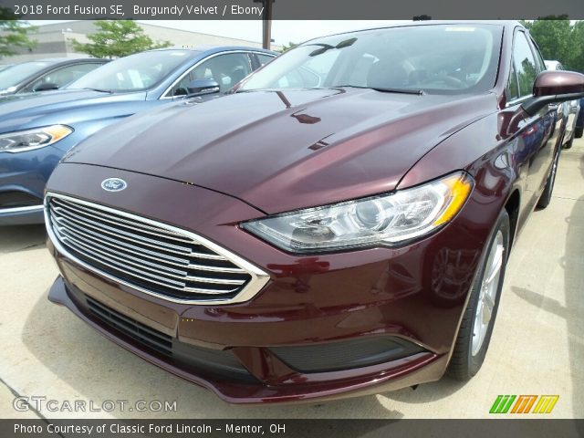 2018 Ford Fusion SE in Burgundy Velvet