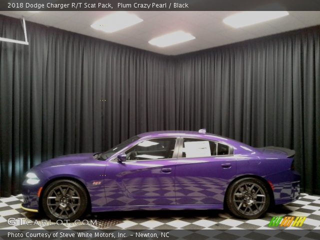 2018 Dodge Charger R/T Scat Pack in Plum Crazy Pearl