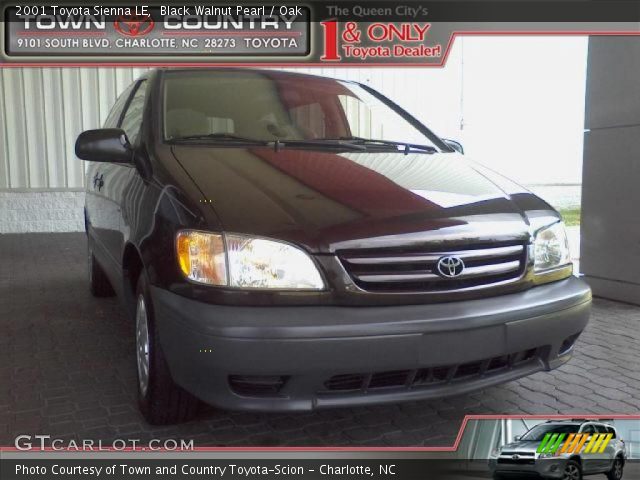 2001 Toyota Sienna LE in Black Walnut Pearl