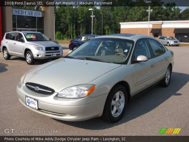 2003 Ford Taurus SES in Gold Ash Metallic