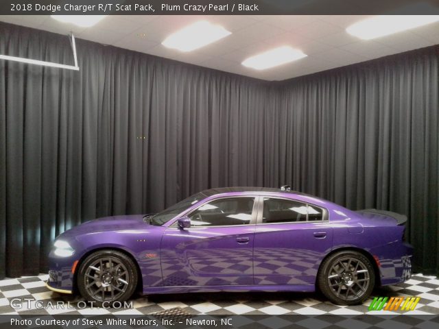 2018 Dodge Charger R/T Scat Pack in Plum Crazy Pearl