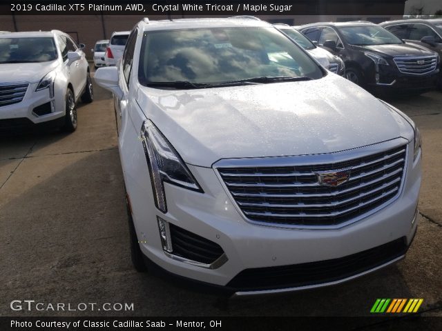 2019 Cadillac XT5 Platinum AWD in Crystal White Tricoat