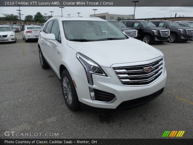 2019 Cadillac XT5 Luxury AWD in Crystal White Tricoat