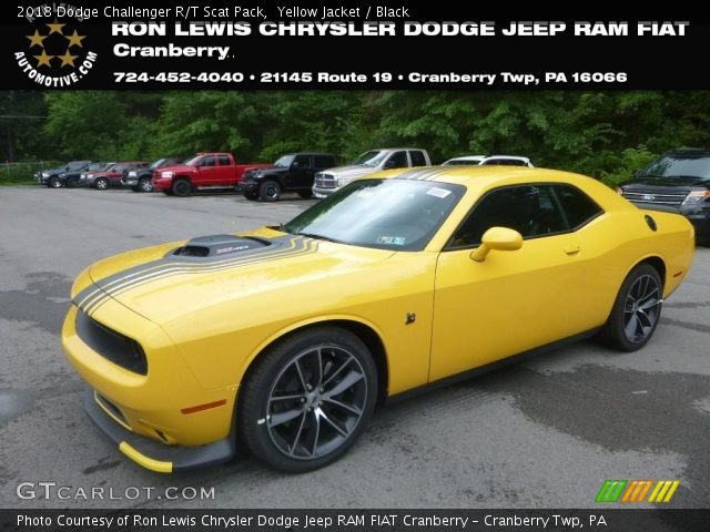 2018 Dodge Challenger R/T Scat Pack in Yellow Jacket