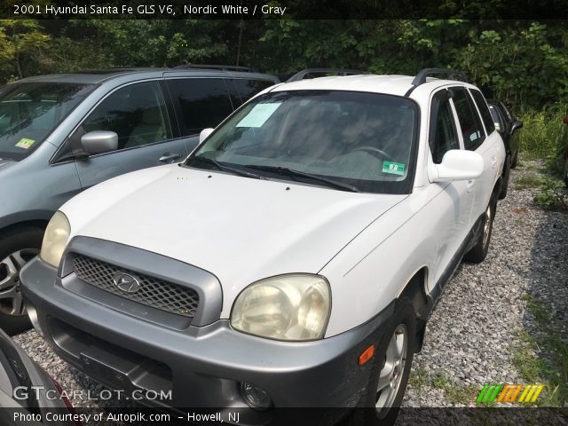 2001 Hyundai Santa Fe GLS V6 in Nordic White