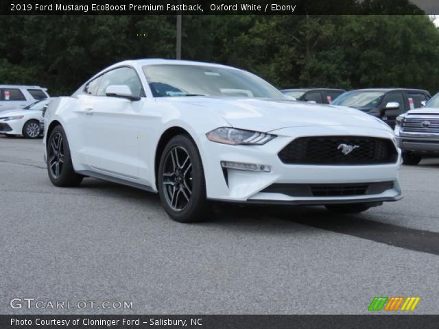 2019 Ford Mustang EcoBoost Premium Fastback in Oxford White